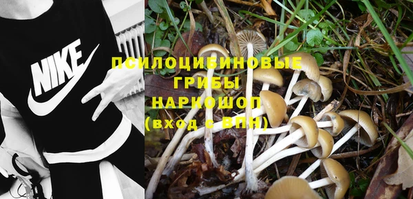 спайс Осинники