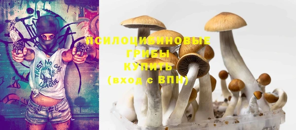 меф Заводоуковск