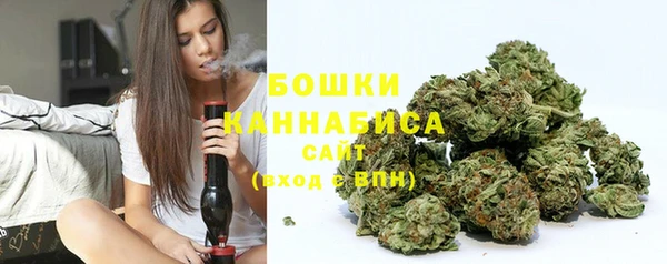 индика Заволжск