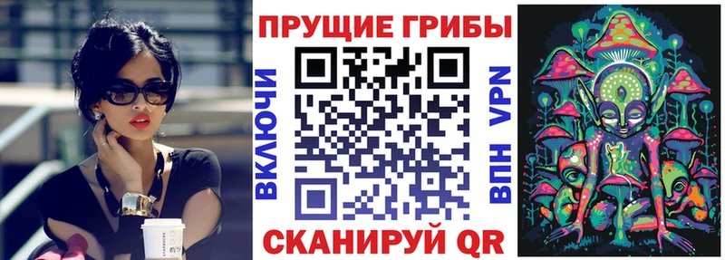 Псилоцибиновые грибы MAGIC MUSHROOMS что такое Красный Сулин