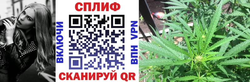 мега tor где найти наркотики Красный Сулин Канабис тримм